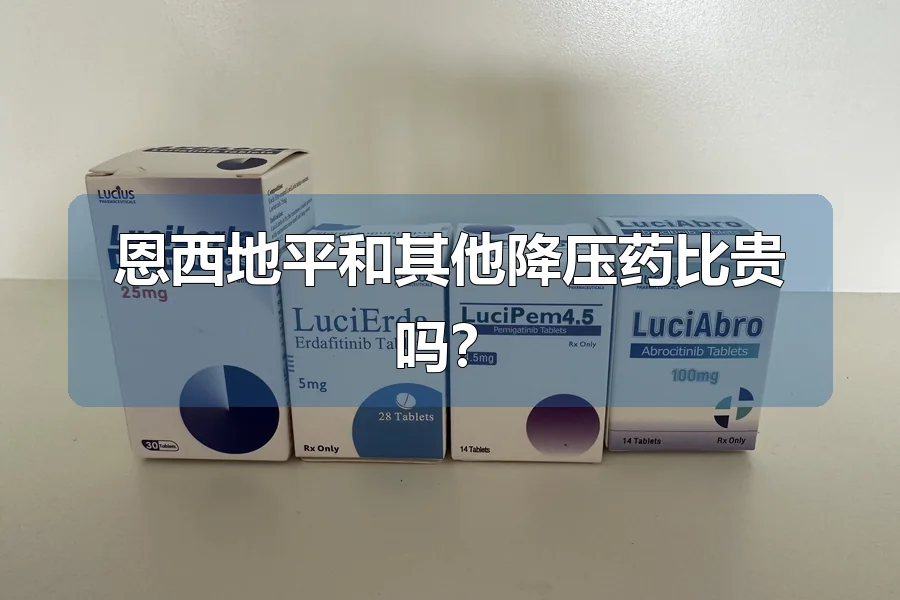 恩西地平和其他降压药比贵吗？