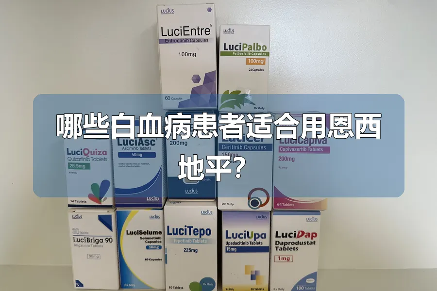 哪些白血病患者适合用恩西地平?