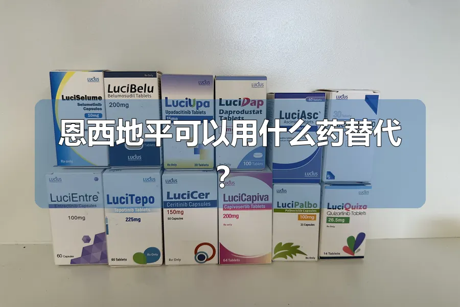 恩西地平可以用什么药替代?